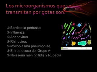 Bordetella pertussis
Influenza
Adenovirus
Rhinovirus
Mycoplasma pneumoniae
Estreptococo del Grupo A
Neisseria meningitidis y Rubeola
 