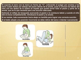 El soporte el seno con la mano en forma de “C”, colocando el pulgar por encima y los
otros cuatro dedos por debajo del pezón detrás de la areola, pues si chocan los labios del
niño con los dedos de la madre se impide que pueda tomar todo el pezón y parte de la
areola, que es lo que necesita para una succión adecuada.
Estimule el reflejo de búsqueda acercando el pezón a la comisura labial y cuando el niño
abra la boca completamente, introduzca el pezón y la areola.
Si se resiste, hale suavemente hacia abajo su barbilla para lograr una correcta succión.
Si el bebé adopta una posición incorrecta se debe retirar del seno e intentar nuevamente




                                                                                       22
 