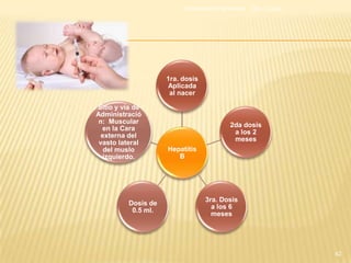 Alimentación Parenteral   Dra. Loaiza




                     1ra. dosis
                     Aplicada
                      al nacer

Sitio y vía de
Administració
 n: Muscular
                                           2da dosis
  en la Cara
                                            a los 2
  externa del
                                            meses
 vasto lateral
   del muslo         Hepatitis
  izquierdo.            B




                                  3ra. Dosis
          Dosis de
                                    a los 6
           0.5 ml.
                                    meses




                                                                  42
 