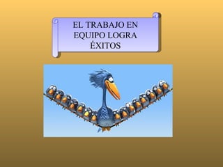 EL TRABAJO EN EQUIPO LOGRA ÉXITOS 