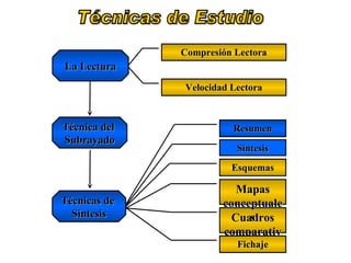 Técnicas de Estudio Técnica del  Subrayado Compresión Lectora Velocidad Lectora Resumen Síntesis Esquemas Cuadros comparativos Mapas conceptuales Fichaje La Lectura Técnicas de  Síntesis 