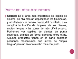 PARTES DEL CEPILLO DE DIENTES 
 Cabeza: Es el área más importante del cepillo de 
dientes, en ella estarán depositados los filamentos, 
y al efectuar una fuerza propia del cepillado, esta 
cumplirá la función de limpieza de los dientes, 
encías, lengua y las zonas de más difícil acceso. 
Podremos ver cepillos de dientes en punta 
cuadrada, ovalada en forma diamante entre otras. 
Algunos productos tienen en la parte posterior 
pequeños mecanismos que sirven de “limpia 
lengua” para un lavado mucho más completo. 
 