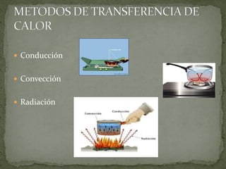 Tecnicas de coccion - UDLA