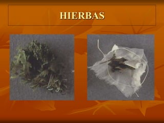 HIERBAS
 