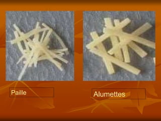 Alumettes
Paille
 