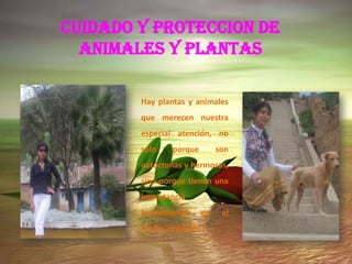 CUIDADO Y PROTECCION DE
  ANIMALES Y PLANTAS

        Hay plantas y animales
        que merecen nuestra
        especial atención, no
        sólo   porque        son
        autóctonas y hermosas,
        sino porque tienen una
        importancia
        fundamental     en    el
        medio ambiente.
 