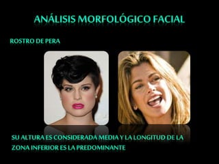 Tecnicas de estilismo capilar