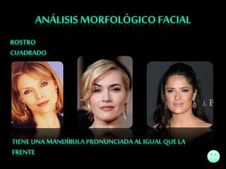 Tecnicas de estilismo capilar