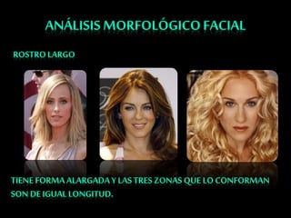 Tecnicas de estilismo capilar