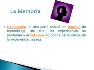 La Memoria La memoria es una parte crucial del proceso de aprendizaje, sin ella, las experiencias se perderían y el individuo no podría beneficiarse de la experiencia pasada.  