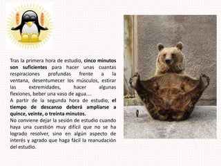 Tras la primera hora de estudio, cinco minutos son suficientes para hacer unas cuantas respiraciones profundas frente a la ventana, desentumecer los músculos, estirar las extremidades, hacer algunas flexiones, beber una vaso de agua....A partir de la segunda hora de estudio, el tiempo de descanso deberá ampliarse a quince, veinte, o treinta minutos.No conviene dejar la sesión de estudio cuando haya una cuestión muy difícil que no se ha logrado resolver, sino en algún aspecto de interés y agrado que haga fácil la reanudación del estudio.