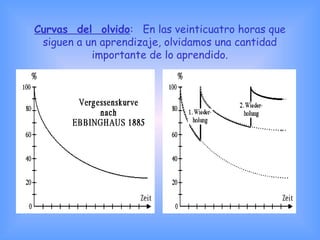 Curvas del olvido: En las veinticuatro horas que
siguen a un aprendizaje, olvidamos una cantidad
importante de lo aprendido.
 