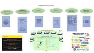 FUNDAMENTOS DE LAS TÉCNICAS DE ESTUDIO
APRENDIZAJE
Y ESTUDIO
CONDICIONES
DETERMINANTES
DEL ESTUDIO
ATENCIÓN MEMORIA
HABITOS DE
ESTUDIO
METODO DE
ESTUDIO
Estudiar es
“ejercitar el
entendimiento
para alcanzar o
comprender
algo”
ESPONTANEA,
VOLUNTARIA,
SELECTIVA,
DIVIDIDA,
SOSTENIDA
REGISTRAR,
RETENER,
ASOCIAR,
RECUPERAR
Estudiar es “ejercitar el
entendimiento para
alcanzar o comprender
algo” Las primeras
experiencias han de ser
satisfactorias, ya que esto
conllevará que se repita el
comportamiento.
En la repetición influye la
motivación, el deseo de
hacerlo.
La práctica es
imprescindible para
adquirir hábitos.
• ANALISIS
• SINTESIS
• REVISION
• Determinantes
extrínsecos o
externos (medio
ambiente)
• Determinantes
intrínsecos o
internos ( factores
psíquicos “
motivación-
objetos” y físicos
“ buena salud)
 