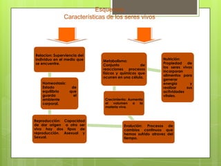 Esquemas
Características de los seres vivos
Relacion: Superviencia del
individuo en el medio que
se encuentre.
Homeostasis:
Estado de
equilibrio que
guarda el
ambiente
corporal.
Reproducción: Capacidad
de dar origen a otro ser
vivo hay dos tipos de
reproducción. Asexual y
Sexual.
Evolución: Procesos de
cambios continuos que
hemos sufrido atravez del
tiempo.
Crecimiento: Aumenta
el volumen a la
materia viva.
Metabolismo:
Conjunto de
reacciones procesos
físicos y químicos que
ocurren en una célula.
Nutrición:
Propiedad de
los seres vivos
incorporan
alimentos para
generar
energía y
realizar sus
actividades
vitales.
 