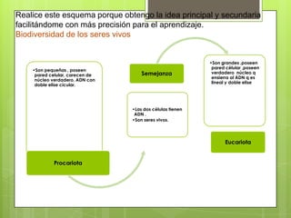Realice este esquema porque obtengo la idea principal y secundaria
facilitándome con más precisión para el aprendizaje.
Biodiversidad de los seres vivos
•Son pequeñas , poseen
pared celular, carecen de
núcleo verdadero, ADN con
doble elise cícular.
Procariota
•Las dos células tienen
ADN .
•Son seres vivos.
Semejanza
•Son grandes ,poseen
pared célular ,poseen
verdadero núcleo q
ensierra al ADN q es
lineal y doble elise
Eucariota
 