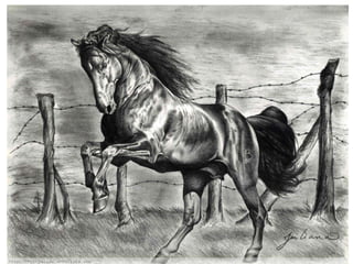 Tecnicas de expresion artistica