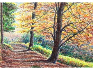 Tecnicas de expresion artistica