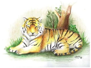 Tecnicas de expresion artistica