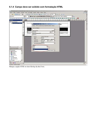 6.1.4 Campo deve ser exibido com formatação HTML




Marque a opção HTML no item Markup da aba Fonte.
 