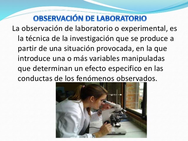 Tecnicas de investigación de campo