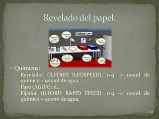  Químicos:
   Revelador (ILFORD ILFOSPEED): 1+9 -> 100ml de
    químico + 900ml de agua.
   Paro (AGUA): 1L.
   Fijador (ILFORD RAPID FIXER): 1+9 -> 100ml de
    químico + 900ml de agua.

                                                    14
 