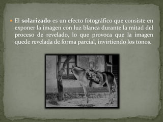  El solarizado es un efecto fotográfico que consiste en
 exponer la imagen con luz blanca durante la mitad del
 proceso de revelado, lo que provoca que la imagen
 quede revelada de forma parcial, invirtiendo los tonos.
 