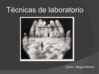 Técnicas de laboratorio
Carlos Villegas Alfonso
 