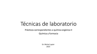 Técnicas de laboratorio
Prácticos correspondientes a química orgánica II
Química y Farmacia
Dr. Michel Lapier
2023
 