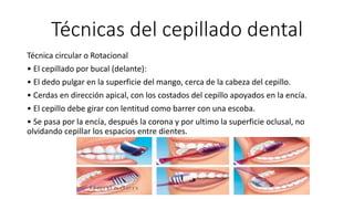 Técnicas del cepillado dental
Técnica circular o Rotacional
• El cepillado por bucal (delante):
• El dedo pulgar en la superficie del mango, cerca de la cabeza del cepillo.
• Cerdas en dirección apical, con los costados del cepillo apoyados en la encía.
• El cepillo debe girar con lentitud como barrer con una escoba.
• Se pasa por la encía, después la corona y por ultimo la superficie oclusal, no
olvidando cepillar los espacios entre dientes.
 