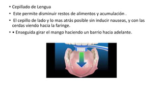 • Cepillado de Lengua
• Este permite disminuir restos de alimentos y acumulación .
• El cepillo de lado y lo mas atrás posible sin inducir nauseas, y con las
cerdas viendo hacia la faringe.
• • Enseguida girar el mango haciendo un barrio hacia adelante.
 
