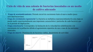 Ciclo de vida de una colonia de bacterias inoculadas en un medio
de cultivo adecuado
• Etapa de acostumbramiento: Periodo inicial de crecimiento lento al nuevo medio (poca
actividad bacteriana).
• Etapa de crecimiento exponencial: La bacteria se multiplica exponencialmente.En esta etapa se
puede medir experimentalmente una importante característica ( particular de cada bacteria) que
es el periodo de duplicación.
• Etapa estacionaria: Corresponde a la limitación de la velocidad de solubilización o de
crecimiento de la población debido al agotamiento repentino de uno o mas de los nutrientes
esenciales.
• Etapa de muerte: Disminución de bacterias viables, decaimiento de actividad.
 
