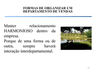 FORMAS DE ORGANIZAR UM
           DEPARTAMENTO DE VENDAS



Manter          relacionamento
HARMONIOSO dentro da
empresa.
Porque de uma forma ou de
outra,      sempre       haverá
interação interdepartamental.


                                    43
 