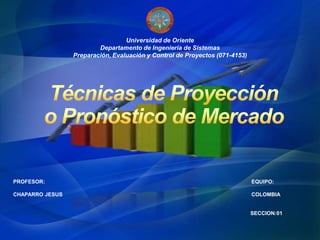 Universidad de Oriente
Departamento de Ingeniería de Sistemas
Preparación, Evaluación y Control de Proyectos (071-4153)
PROFESOR:
CHAPARRO JESUS
SECCION:01
EQUIPO:
COLOMBIA
 