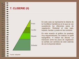 7. CLISERIE (II) En este caso se representa la cliserie de la Cordillera Cantábrica en la que se van sucediendo los diferentes pisos de vegetación: Robledal el más bajo, hayedo, landas y prado en las cumbres. En esta ocasión el gráfico ha quedado muy esquematizado, sin realizar un perfil topográfico, ni indicar las alturas. La transición entre los pisos de vegetación se señala con cambios de color además de con la leyenda lateral.  Fuente: wikipedia 