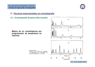 Defectos Instrumentales Tecnicas de separacion_cromatografica | PDF