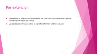 Por extencion
 Se extiende el inoculo uniformemente con una varilla acodada esteril por la
superficie del medio de cultivo
 Las células diseminadas sobre la superficie forman colonias aisladas
 