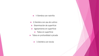  1-Siembra con rastrillo
 2.Siembra con asa de cultivo
 Diseminación de superficie
 Agotamiento en superficie
 Tubos en superficie
 Tubos en profundidad o picada
 3.Siembra con torula
 