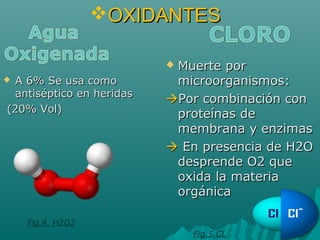 OXIDANTESOXIDANTES
 A 6% Se usa comoA 6% Se usa como
antiséptico en heridasantiséptico en heridas
(20% Vol)(20% Vol)
 Muerte porMuerte por
microorganismos:microorganismos:
Por combinación conPor combinación con
proteínas deproteínas de
membrana y enzimasmembrana y enzimas
 En presencia de H2OEn presencia de H2O
desprende O2 quedesprende O2 que
oxida la materiaoxida la materia
orgánicaorgánica
Fig.4. H2O2
Fig.5.CL
 