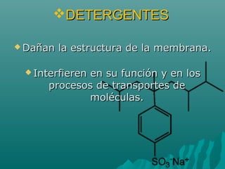DETERGENTESDETERGENTES
 Dañan la estructura de la membrana.Dañan la estructura de la membrana.
 Interfieren en su función y en losInterfieren en su función y en los
procesos de transportes deprocesos de transportes de
moléculas.moléculas.
 