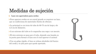 Medidas de sujeción
4. Lazo con agarradera para cerdos
Para agarrar cerdos en un corral grande se requiere un lazo,
que se confecciona de materiales fáciles de obtener.
Lo principal es un trozo de tubo de 60-75 cm de largo y de
2,5 cm de diámetro.
A un extremo del tubo se le engancha una soga o un mecate.
El otro extremo se pasa por el tubo, dejando una lazada en
la punta para formar el lazo con el cual agarrar el animal
Con un golpe rápido, el lazo se enlaza alrededor del hocico
del cerdo y se jala para que quede apretado.
 