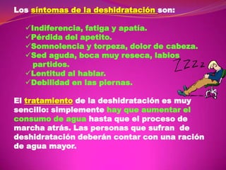Los síntomas de la deshidratación son:
Indiferencia, fatiga y apatía.
Pérdida del apetito.
Somnolencia y torpeza, dolor de cabeza.
Sed aguda, boca muy reseca, labios
partidos.
Lentitud al hablar.
Debilidad en las piernas.

El tratamiento de la deshidratación es muy
sencillo: simplemente hay que aumentar el
consumo de agua hasta que el proceso de
marcha atrás. Las personas que sufran de
deshidratación deberán contar con una ración
de agua mayor.

 