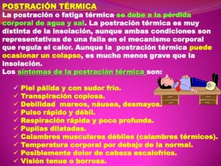 POSTRACIÓN TÉRMICA

La postración o fatiga térmica se debe a la pérdida
corporal de agua y sal. La postración térmica es muy
distinta de la insolación, aunque ambas condiciones son
representativas de una falla en el mecanismo corporal
que regula el calor. Aunque la postración térmica puede
ocasionar un colapso, es mucho menos grave que la
insolación.
Los síntomas de la postración térmica son:











Piel pálida y con sudor frío.
Transpiración copiosa.
Debilidad mareos, náusea, desmayos.
Pulso rápido y débil.
Respiración rápida y poco profunda.
Pupilas dilatadas.
Calambres musculares débiles (calambres térmicos).
Temperatura corporal por debajo de la normal.
Posiblemente dolor de cabeza escalofríos.
Visión tenue o borrosa.

 
