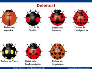 Participação em mais de 40 projetos de Software;