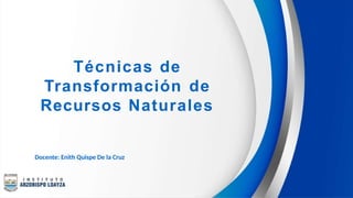 Técnicas de
Transformación de
Recursos Naturales
Docente: Enith Quispe De la Cruz
 