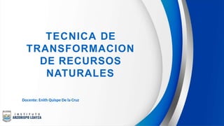 TECNICA DE
TRANSFORMACION
DE RECURSOS
NATURALES
Docente: Enith Quispe De la Cruz
 