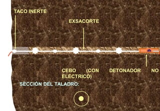 SECCIÓN DEL TALADRO:
TACO INERTE
CEBO (CON DETONADOR NO
ELÉCTRICO)
EXSACORTE
 