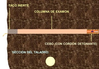 CEBO (CON CORDÓN DETONANTE)
COLUMNA DE EXAMON
TACO INERTE
SECCIÓN DEL TALADRO:
 
