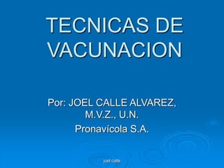 joel calle
TECNICAS DE
VACUNACION
Por: JOEL CALLE ALVAREZ,
M.V.Z., U.N.
Pronavícola S.A.
 