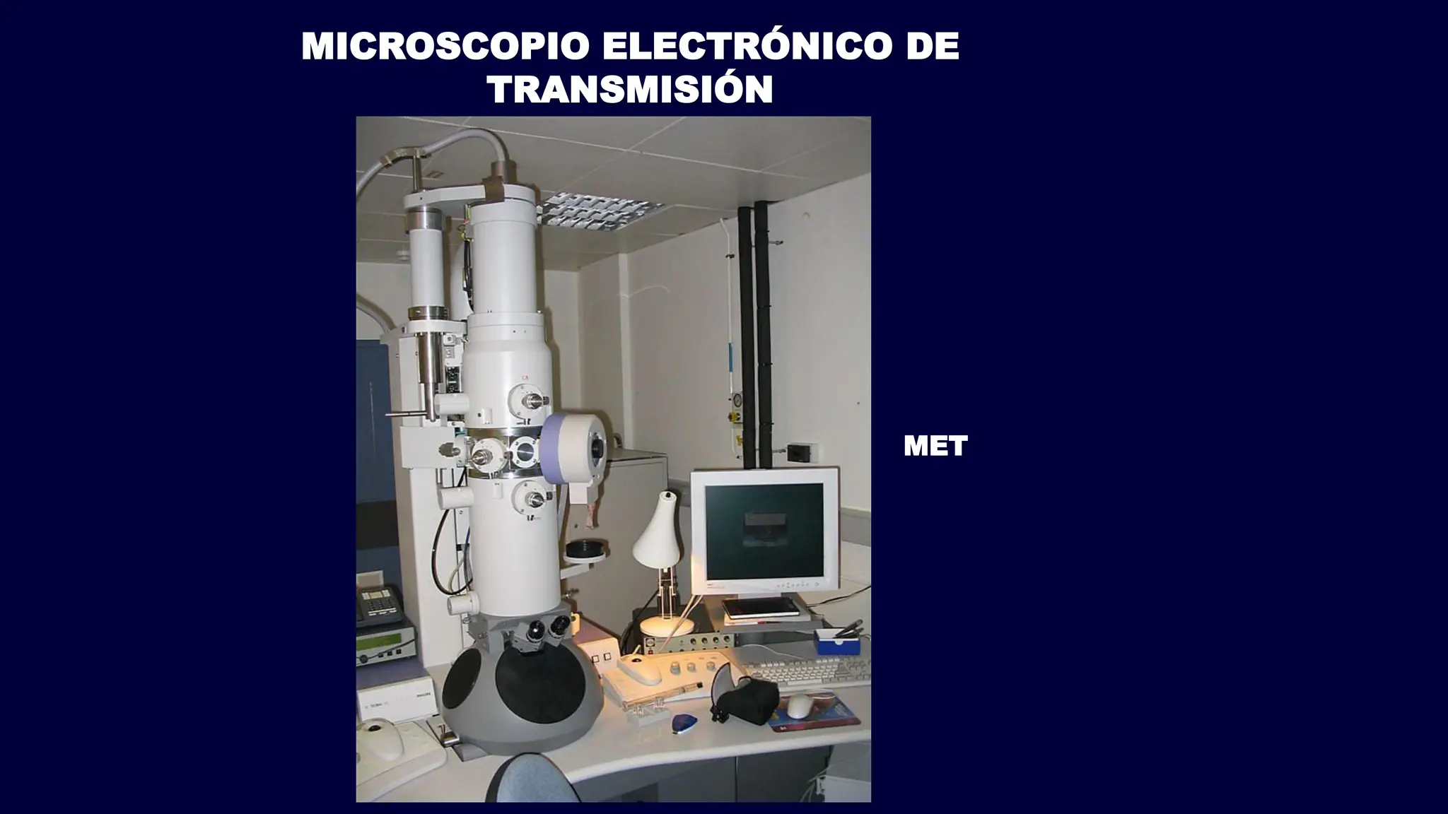 TECNICAS EMBRIONARIAS.pdf curso de embriologia | PPT