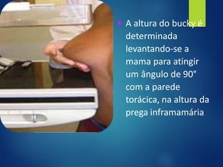 ▪ A altura do bucky é
determinada
levantando-se a
mama para atingir
um ângulo de 90°
com a parede
torácica, na altura da
prega inframamária
 